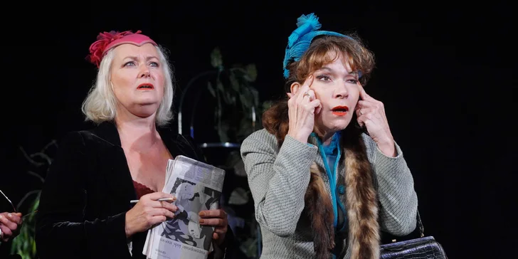 Vstupenka na představení Nejstarší řemeslo ve Strašnickém divadle