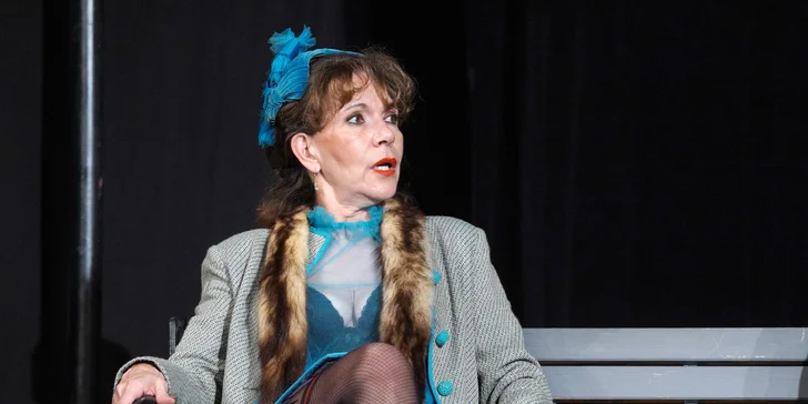 Vstupenka na představení Nejstarší řemeslo ve Strašnickém divadle