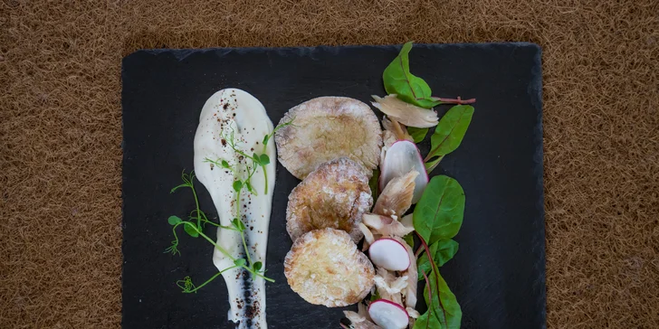 Pobyt v polských Tatrách: snídaně nebo polopenze, vstup do aquaparku Terma Bania