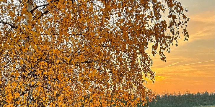 Dětské offroadové čtyřkolky a buginy: 30 minut jízdy na bezpečné ploché dráze