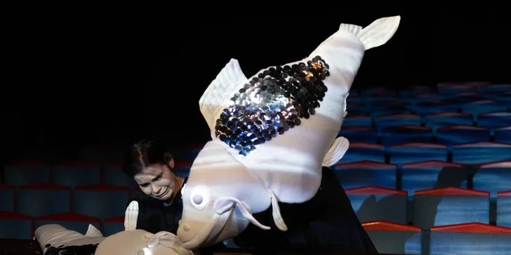 Vstupenka na divadelní představení Vánoční host