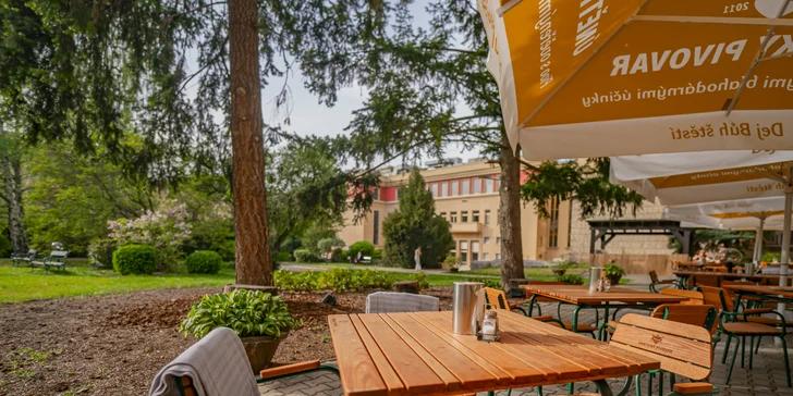 Legendární Grand Hotel International v Praze: pobyt se snídaní i michelinskou večeří, skvělá dostupnost do centra