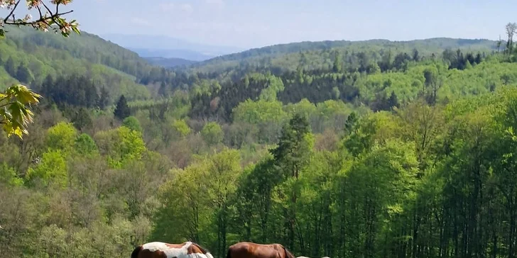 Relax na ranči se snídaněmi a bowlingem