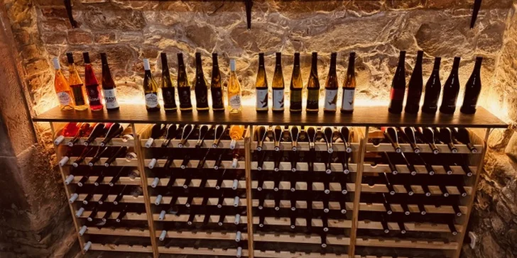 Pobyt u Nechranické přehrady: penzion se snídaní, možnost soukromé degustace vín