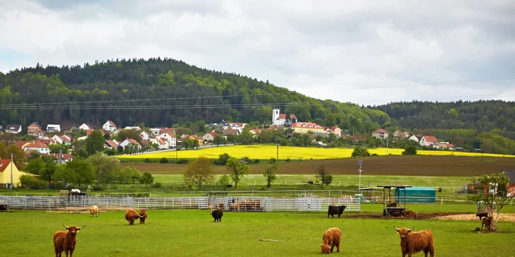 Relax kousek od Boskovic: pobyt se snídaní či polopenzí nebo i pivní lázní