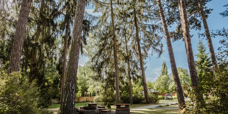 Pobyt ve Františkových Lázních: snídaně či plná penze, bazén i procedury