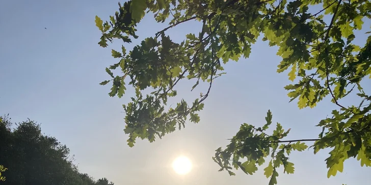 Stylová jurta nedaleko Blaníku s možností snídaně pro dva i rodinu