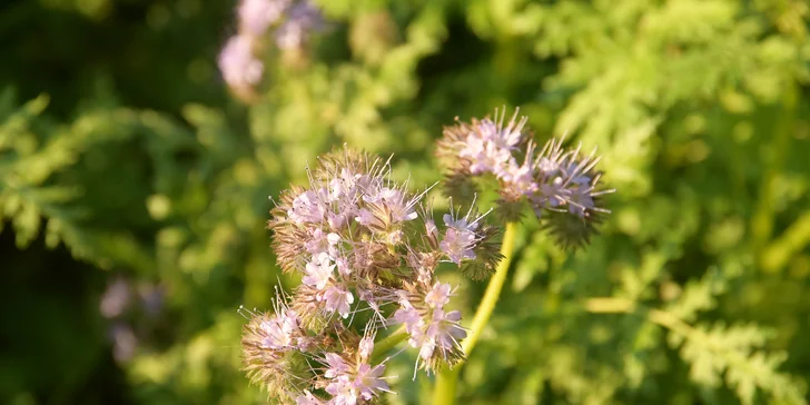 Jurta v Toulavě: areál statku uprostřed přírody a vyžití pro děti