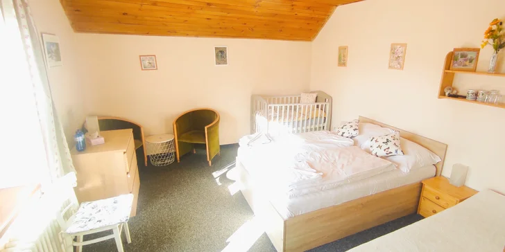 Krkonošská pohádka: penzion se snídaní či polopenzí, možnost wellness