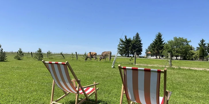 Glamping na farmě v Posázaví pro 5 osob: luxusní stan s výhledem na pastviny a koupací biotop