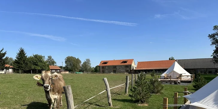Glamping na farmě v Posázaví pro 5 osob: luxusní stan s výhledem na pastviny a koupací biotop