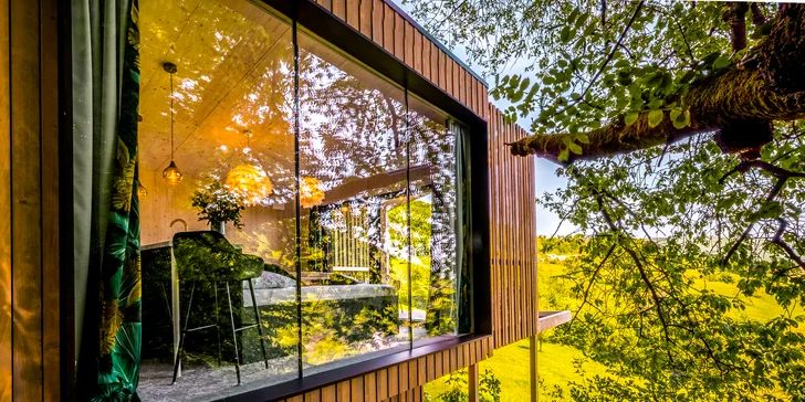 Luxusní designový domek spjatý s přírodou, varianta s boxem plným dobrot