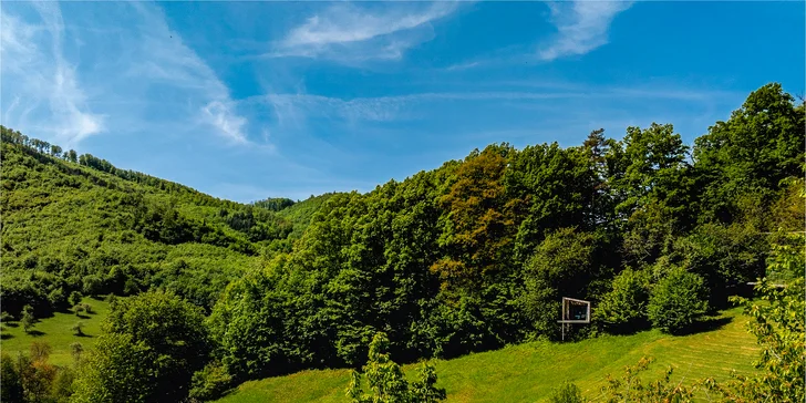 Luxusní designový domek spjatý s přírodou, varianta s boxem plným dobrot