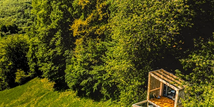 Luxusní designový domek spjatý s přírodou, varianta s boxem plným dobrot