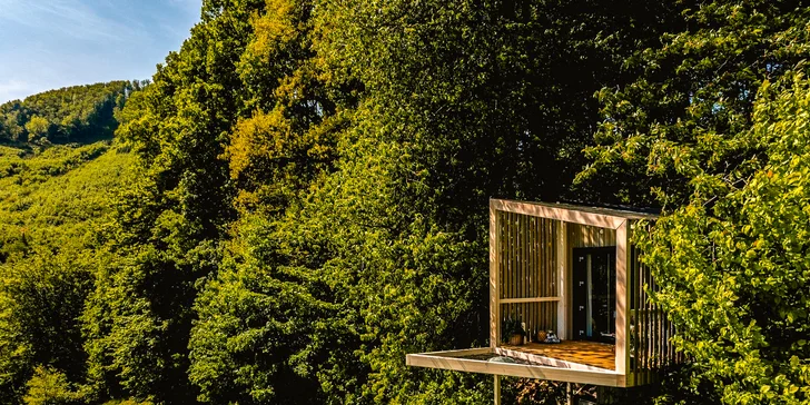 Luxusní designový domek spjatý s přírodou, varianta s boxem plným dobrot