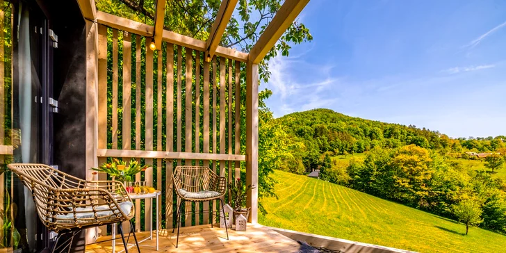 Luxusní designový domek spjatý s přírodou, varianta s boxem plným dobrot