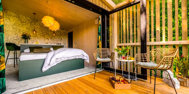 Luxusní designový domek spjatý s přírodou, varianta s boxem plným dobrot