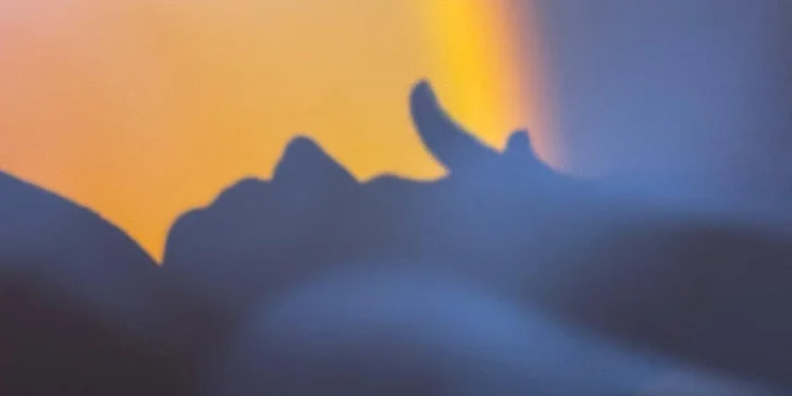 Gua Sha masáž obličeje pro dospělé i děti: varianty vč. masáže hlavy či rukou