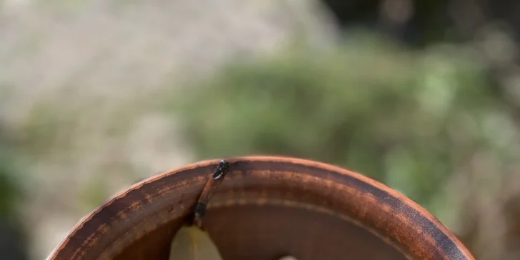 3chod. menu pro 1 či 2 osoby: boršč, bramboráčky v hrnečku i hruška Belle Hélène