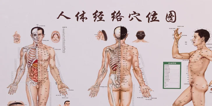 Masáže v centru Prahy: zdravotní, baňkování, Gua Sha nebo fyzioterapie