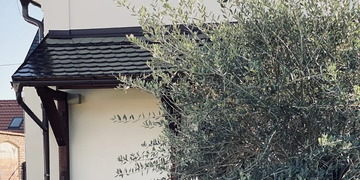 Penzion jen 500 m od zámku Valtice se snídaní i degustací koňaků