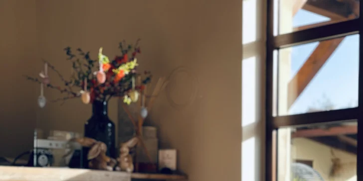 Penzion jen 500 m od zámku Valtice se snídaní i degustací koňaků