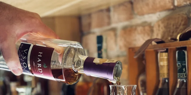 Penzion jen 500 m od zámku Valtice se snídaní i degustací koňaků