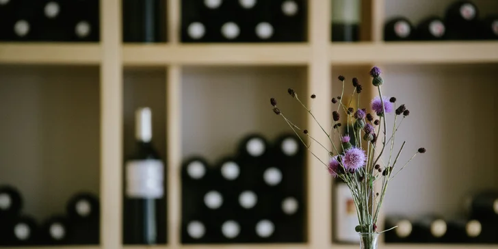 Moravský kras: nádherné ubytování v přírodě s polopenzí i vínem a privátním wellness