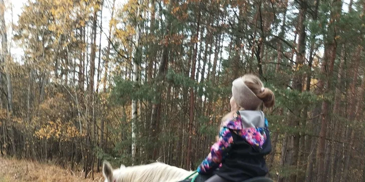 Projížďka na koni v přírodě u Českých Budějovic: 2,5 hod. pro 1 osobu