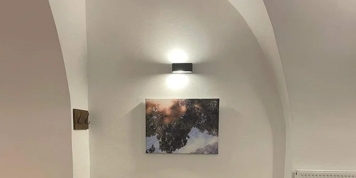 Degustace vína či nealko vína vč. tapas a výkladu, pro 1 i 2 osoby