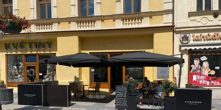 Degustace vína či nealko vína vč. tapas a výkladu, pro 1 i 2 osoby