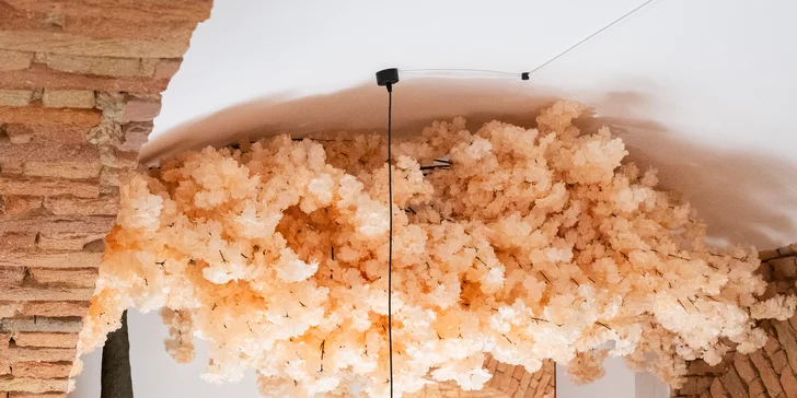 Sushi set s 50 kousky v restauraci v centru Brna: úhoř, losos, tuňák i procecco na přípitek