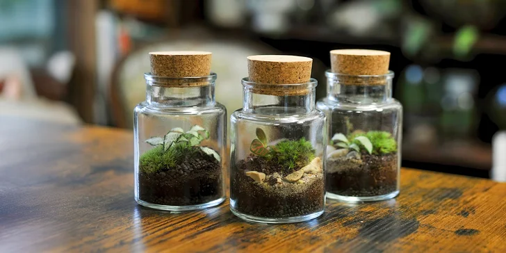 Kreativní workshop: vytvořte si vlastní mechárium a přineste si kousek přírody domů