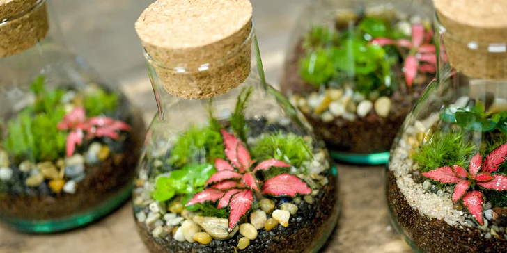Kreativní workshop: vytvořte si vlastní mechárium a přineste si kousek přírody domů