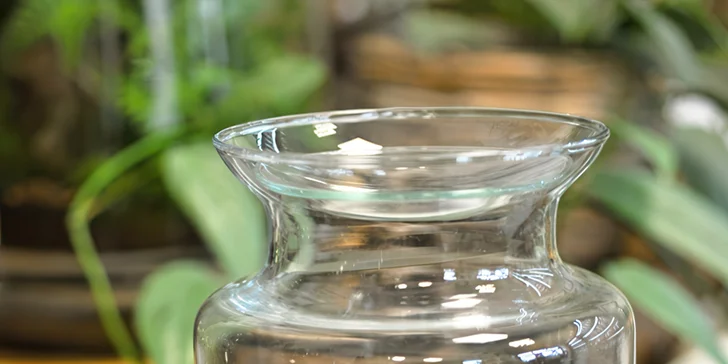 Kreativní workshop: vytvořte si vlastní mechárium a přineste si kousek přírody domů