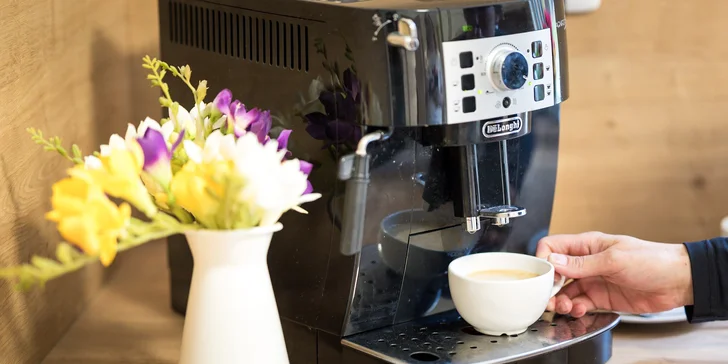 Vrbno pod Pradědem: luxusní apartmánový dům pro 10 osob, 7 km od Karlovy Studánky