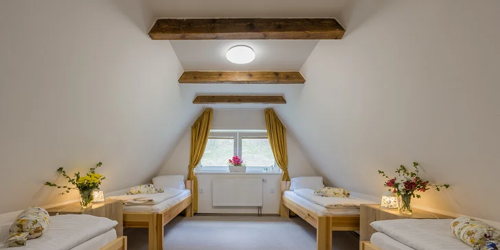 Vrbno pod Pradědem: luxusní apartmánový dům pro 10 osob, 7 km od Karlovy Studánky