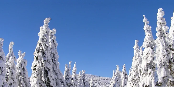 Horský hotel u Pece pod Sněžkou: snídaně či polopenze a 90 min. wellness
