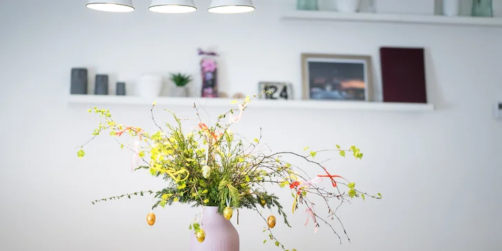 Vrbno pod Pradědem: luxusní apartmánový dům pro 10 osob, 7 km od Karlovy Studánky