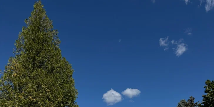 Apartmán v Jeseníkách: vlastní vířivka, masážní křeslo i možnost luxusní snídaně