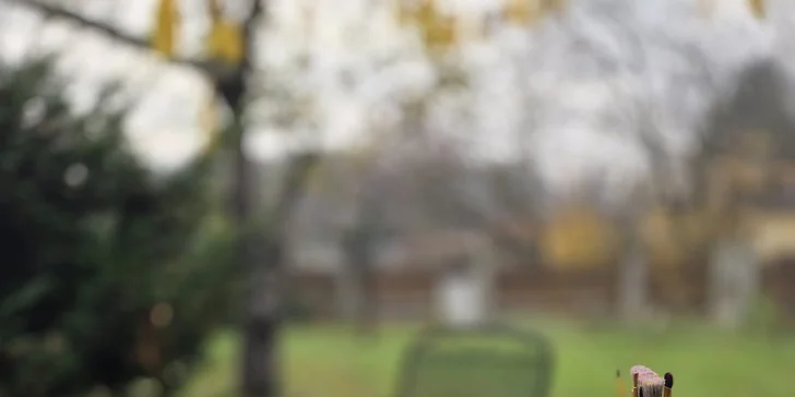 Zážitková malba obrazu: skupinová či individuální tvorba vybranou technikou