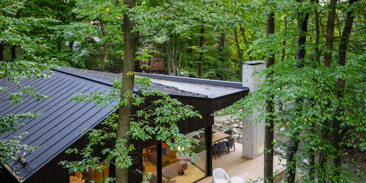 Luxusní chalet uprostřed lesa nedaleko Ostřihomi, polopenze i soukromý wellness