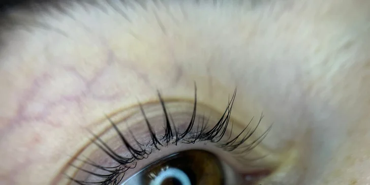 Kompletní péče o vaše obočí a řasy: úprava i barvení, salon na Vinohradech