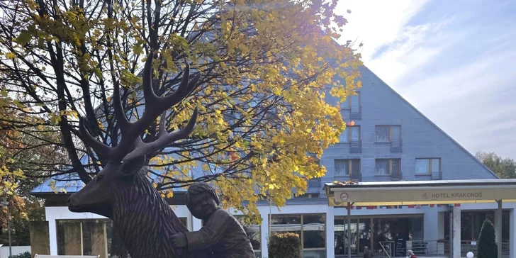 Pobyt v Mariánkách se snídaní či polopenzí, bazénem, solnou jeskyní a množstvím slev