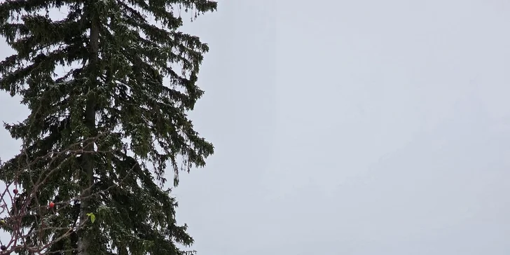 Pobyt v Mariánkách se snídaní či polopenzí, bazénem, solnou jeskyní a množstvím slev