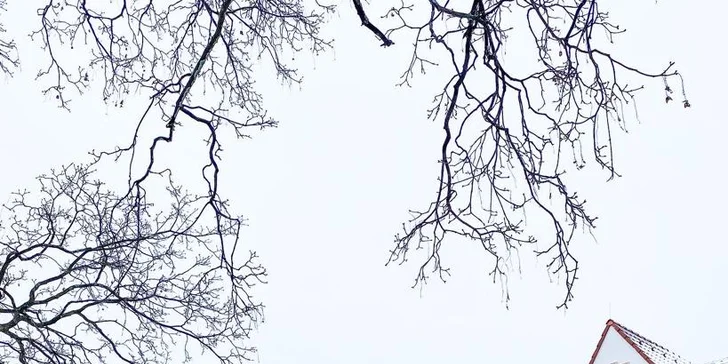 Pobyt na jižní Moravě: snídaně, degustace i lahev vína