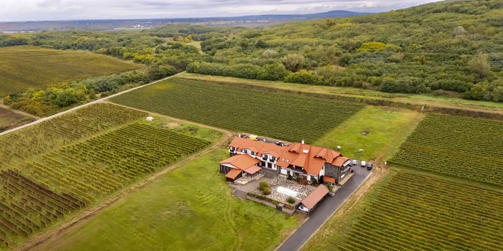 Pobyt s polopenzí a wellness na okouzlujícím Zemplíně