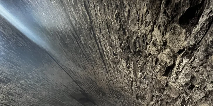 Na rok vinařem v srdci Českého středohoří: vinařské práce, adopce keře i 6 lahví vína