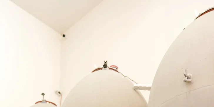 Na rok vinařem v srdci Českého středohoří: vinařské práce, adopce keře i 6 lahví vína