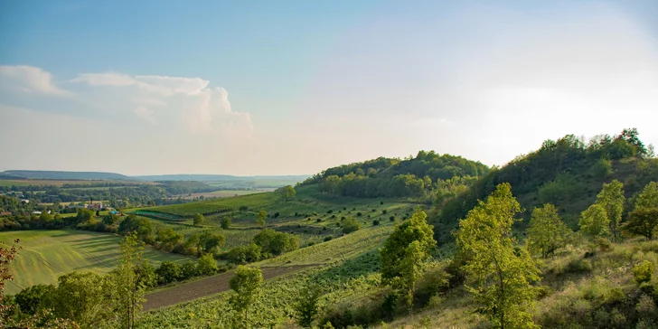Degustace vulkanických vín pro dva v srdci Českého středohoří ve vinařství WILOMENNA